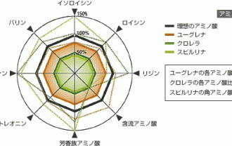 アミノ酸スコア表│ミドリムシ（ユーグレナ）に含まれるアミノ酸のスコアとは？