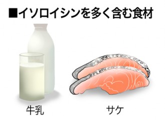 ミドリムシ（ユーグレナ）に含まれるイソロイシンを多く含む食品の紹介図