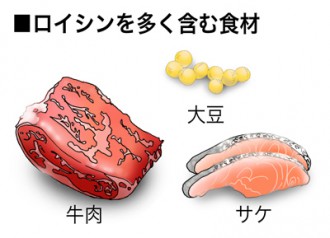 ミドリムシ（ユーグレナ）に含まれるロイシンを多く含む食品の紹介図