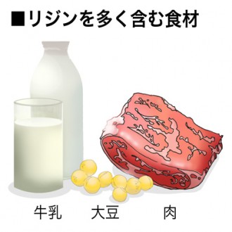 ミドリムシ（ユーグレナ）に含まれるリジンを多く含む食品の紹介図