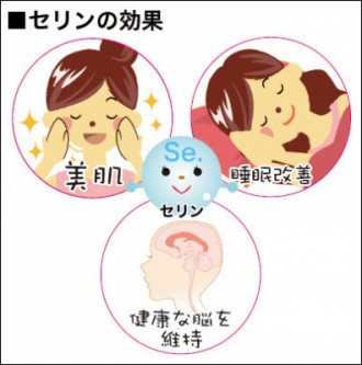 ミドリムシ（ユーグレナ）に含まれるセリンの効果を解説した図