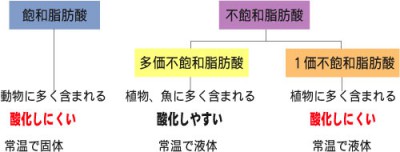 飽和脂肪酸と不飽和脂肪酸の分類表