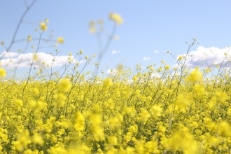 4月まであと2週間