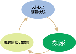 ストレスによる緊張状態と頻尿、頻尿症状の増悪の相関図