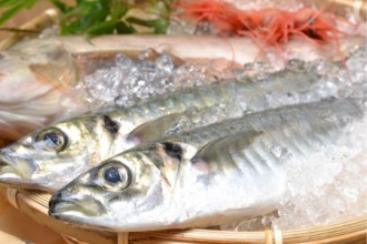 かごに盛られた新鮮な魚の画像│「青魚を食べると頭が良くなる」の理由とは？