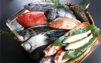 たくさんの新鮮な魚の画像│ミドリムシ（ユーグレナ）に含まれ魚類にも多く含まれる必須脂肪酸「DHA」とは？