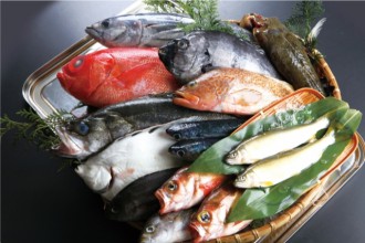 たくさんの新鮮な魚の画像│ミドリムシ（ユーグレナ）に含まれ魚類にも多く含まれる必須脂肪酸「DHA」とは？